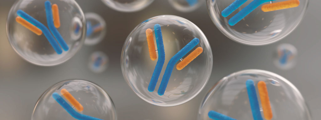 Your specialist for R&D of antibodies