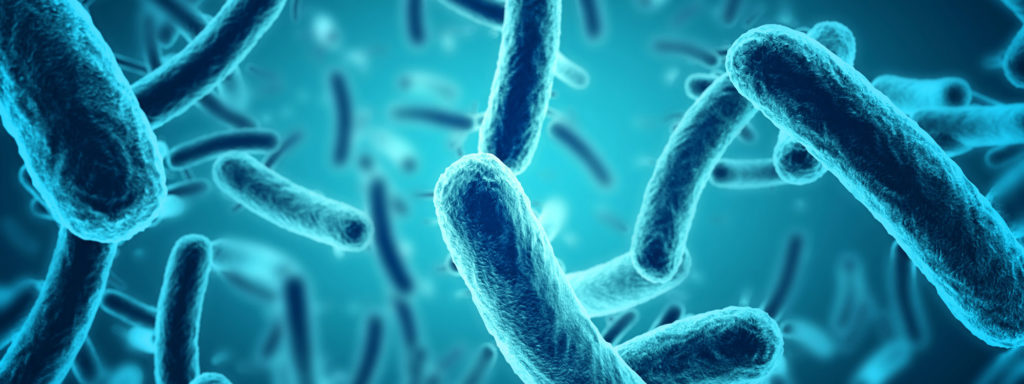 Your specialist for R&D of recombinant proteins